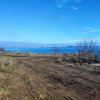 Teren intravilan de vanzare in Palazu Mare, langa lacul Siutghiol thumb 3