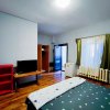 Garsoniere de inchiriat in zona Centru, str. Stefan cel Mare, utilitati incluse thumb 3