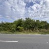 Teren 1.666 mp, construibil, cu acces direct din DN1 – lângă pădurea Snagov thumb 9