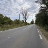Teren 1.666 mp, construibil, cu acces direct din DN1 – lângă pădurea Snagov thumb 10