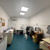 Închiriere - oportunitate pentru segmentul medical ! imaginea mica 21 Închiriere - oportunitate pentru segmentul medical ! thumb 21