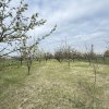 Snagov Izvorani casa locuibila cu livada de pomi fructiferi thumb 17