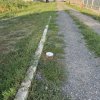 Deschidere stradala la DN1 sens spre Bucuresti  thumb 4