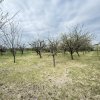 Casa cu livada Izvorani la 300m de Lacul Snagov asfalt si utilitati thumb 16