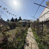 Casa demolabila/renovabila langa Lacul Grivita  thumb 5