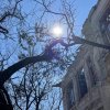 Investiție în Prestigiu: Reconstrucție de Top în Inima Capitalei imaginea mica 11 Investiție în Prestigiu: Reconstrucție de Top în Inima Capitalei thumb 11
