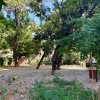 Victoriei - V.Micle 20, apartament 2 camere, mobilat si utilat, 40 mp, etaj 10. thumb 9