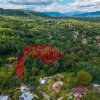 Teren 3.886 mp, Breaza - Podu Vadului, 30 m deschidere la asfalt imaginea mica 2 Teren 3.886 mp, Breaza - Podu Vadului, 30 m deschidere la asfalt thumb 2