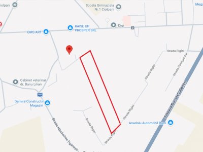 CIOLPANI, LOT 4.900 MP!