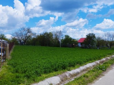 SUPER OCAZIE SE VINDE TEREN LA CEL MAI MIC PRET LA DELTA NEASLOVULUI