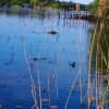 SUPER OCAZIE SE VINDE VILA IN SNAGOV CU DESCHIDERE LA LAC thumb 31