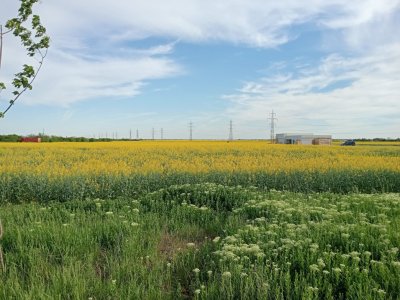 SE VINDE TEREN INTRAVILAN,CONSTRUCTII IN ZONA BALOTESTI LA CEL MAI MIC PRET