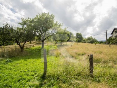Teren investitie Bran - Predelut, la 2 km de Castelul Bran