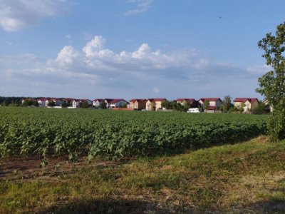 SE VINDE TEREN INTRAVILAN,CONSTRUCTII IN ZONA BALOTESTI LA CEL MAI MIC PRET