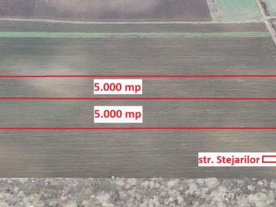 Teren 10.000 mp Sabareni