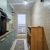 Apartament 3 camere complet Brancoveanu - Luica thumb 10