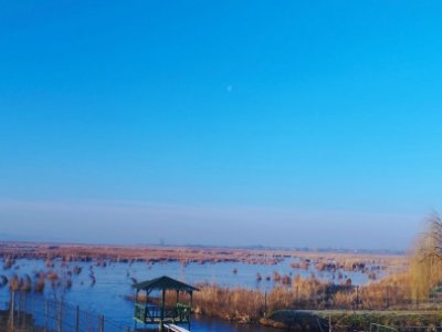 VAND TEREN INTRAVILAN 4000MP DESCHIDERE LA DELTA NEAJLOVULUI  IN ZONA BUDENI