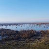 VAND TEREN INTRAVILAN 4000MP DESCHIDERE LA DELTA NEAJLOVULUI  IN ZONA BUDENI thumb 3