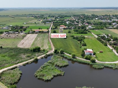 DASCALU-CREATA, LOT 1.000 MP!