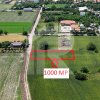 Lot 1000 mp Dascalu, Creata thumb 2