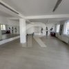 Spatiu Comercial 110 MP+lot 222 MP+2 locuri parcare New Residence thumb 11