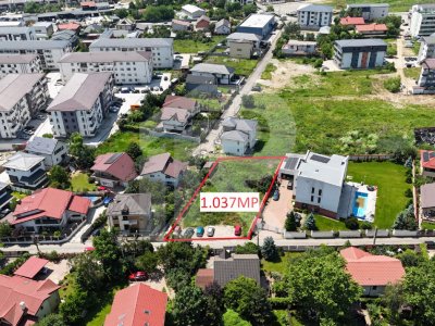 Lot 1037 MP CHIAJNA