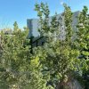 Apartament 2 camere | Zona Titan thumb 9