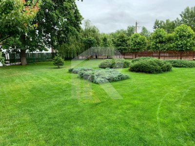 JOITA Lot 500 MP 