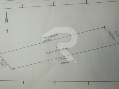 DASCALU Lot 19.170 MP