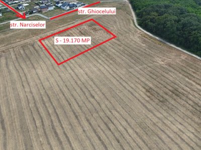 DASCALU, LOT 19.170 MP!