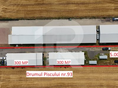 CIOLPANI Lot 5.000 MP