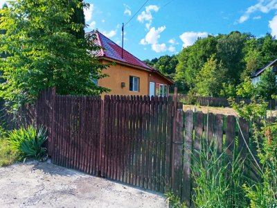 Casa de vanzare cu teren 3100 mp in Breaza de Jos, Prahova