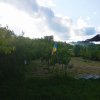 Casa de vanzare cu teren 3100 mp in Breaza de Jos, Prahova thumb 4