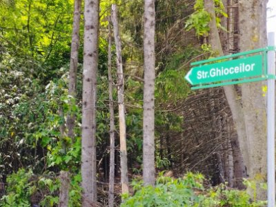 OCAZIE. TEREN SINAIA,COLINA MARE 1210mp,CU TOATE UTILITATILE 40 metri deschidere