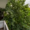 Apartament 3 camere Tineretului, 2 bai, loc parcare, 3 min. metrou Timpuri Noi thumb 16