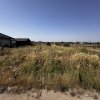 Teren de 330 mp în Comuna Berceni – Ideal pentru Casă sau Investiție! thumb 2