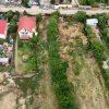 TUNARI - NICOLAE BALCESCU, TEREN CONSTRUCTII 1035 MP, FRONT 11 M!  thumb 5