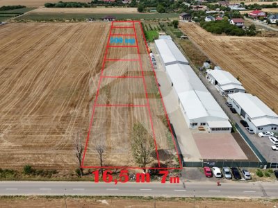 CIOLPANI Lot 500 MP