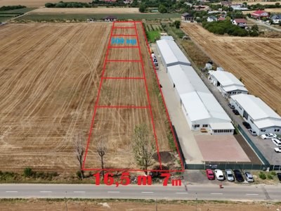 CIOLPANI, LOT 500 MP!