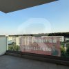 2 CAMERE TIP STUDIO - GREENFIELD - PADUREA BEANEASA  thumb 8