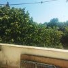Vânzare apartament 2 camere – Drumul Taberei, Str. Brașov  Piața Moghioroș thumb 14