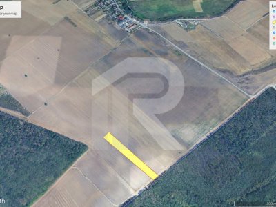 CERNICA - POSTA - TEREN INTRAVILAN CONSTRUCTII 9000 MP! 