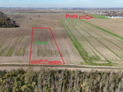 CERNICA-POSTA, LOT 8956 MP, LA PADURE! 