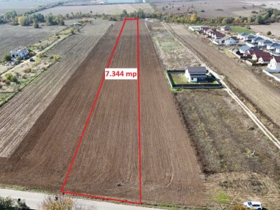 JOITA LOT 7344 MP 