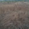 Balotesti - Saftica - Flamingo Park -476 mp thumb 3