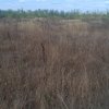 Balotesti - Saftica - Flamingo Park -476 mp thumb 4