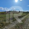 Refugiu la marginea padurii — 2822 mp de liniste in Cocani. thumb 9