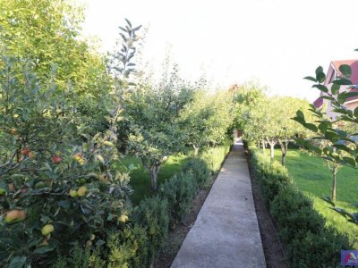 MAGURELE CASA, HALA, LOT 1536 MP