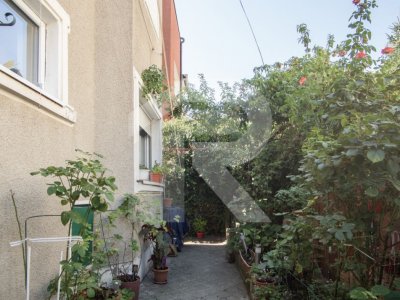 Casa individuala Dristor