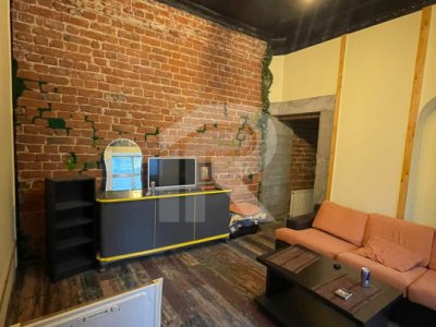 Apartament in vilă 3 camere cu design artistic unic, curte 40mp - Nerva Traian